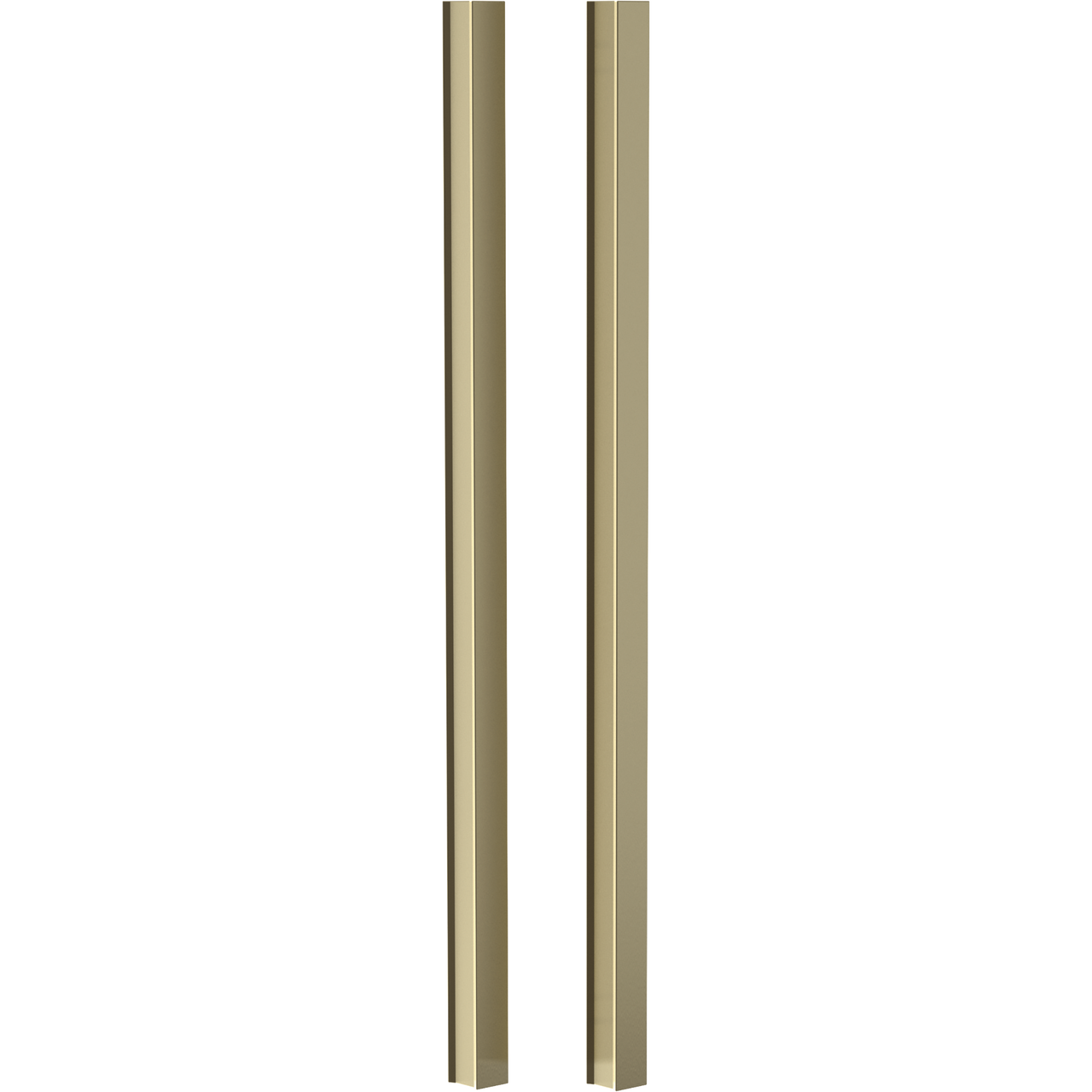 EverEdge 8mm Shower Door