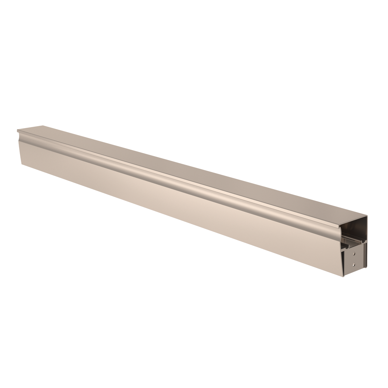 60" Bathtub / Privacy / Brushed Nickel (Shower Door)